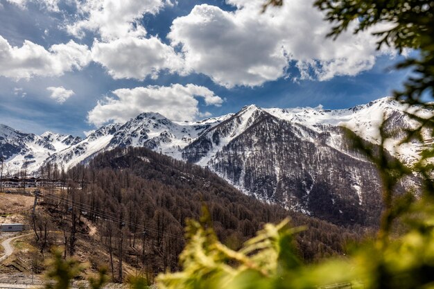 Viagem de primavera em Sochi