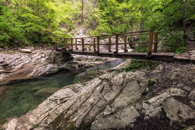 Viagem de primavera em sochi