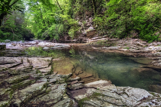 Foto viagem de primavera em sochi