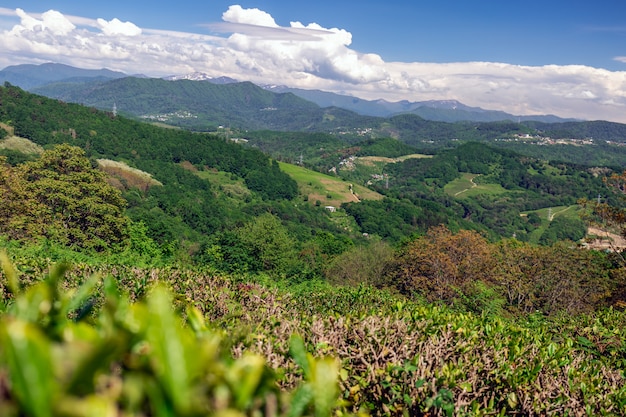 Viagem de primavera em Sochi