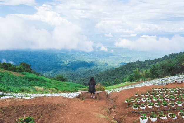 Viagem mulher sentada no banco de madeira e apreciar a vista do campo de morango, céu e montanha