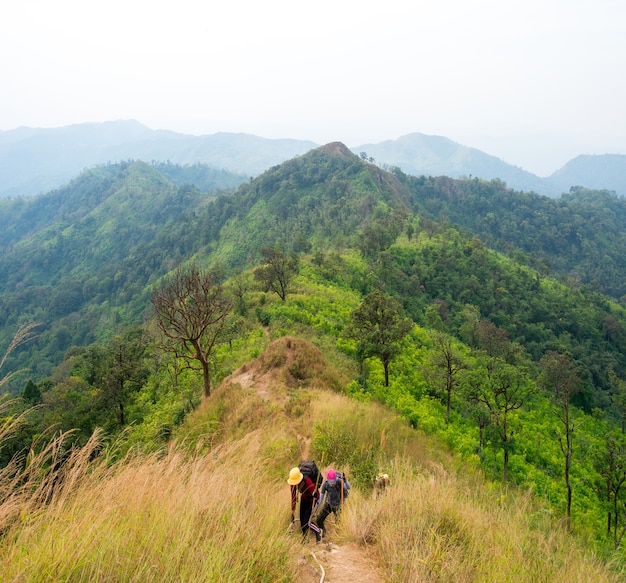 Viagem na montanha "Khao Chang Phuak" Kanchanaburi Tailândia