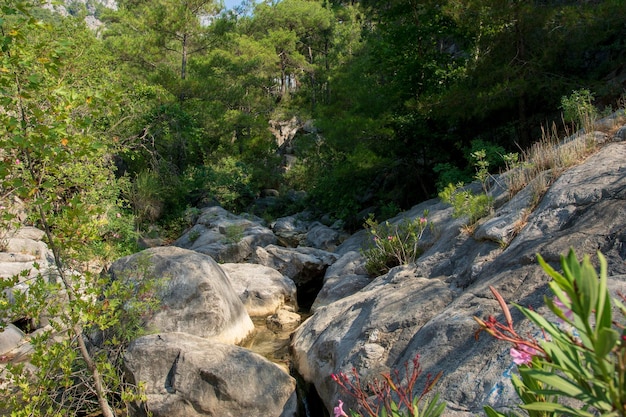 Viagem pelas montanhas através do desfiladeiro e canyons Rio da montanha que flui através do cany