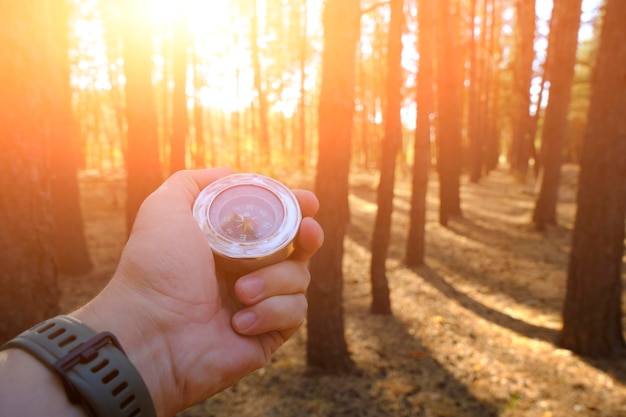 Viaja con brújula en mano en un bosque soleado de pinos