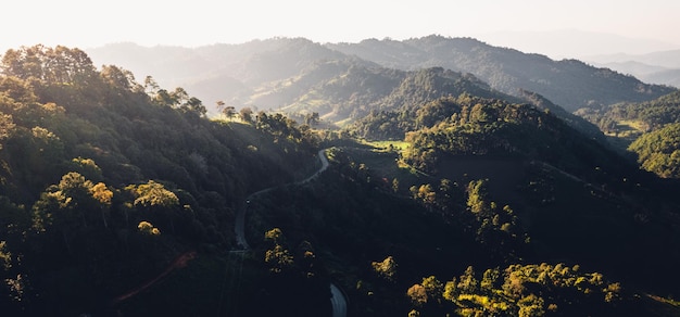 Viajando por una sinuosa carretera de montañaVista aérea de una sinuosa carretera entre árboles