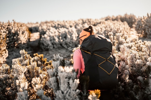 Viajante caminhando com mochilas Caminhando nas montanhas Paisagem ensolarada Viajante turístico na maquete de vista de fundo High tatras eslováquia