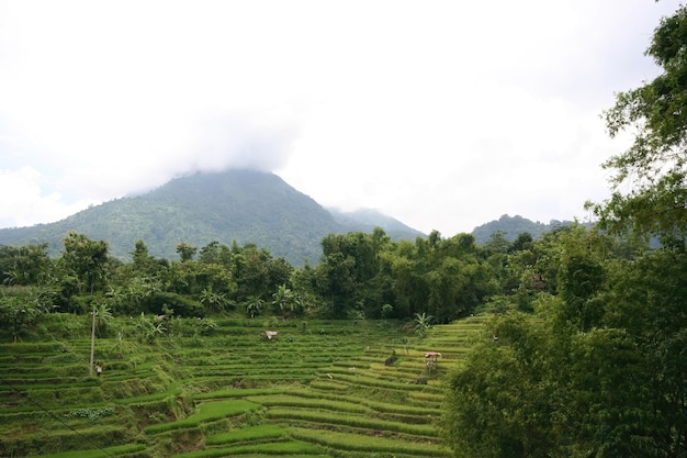 Viajar al país de Indonesia