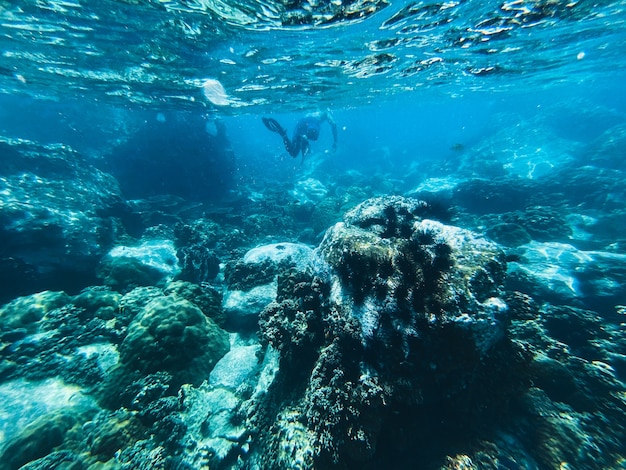 Viajar no mar de mergulho Mar azul claro