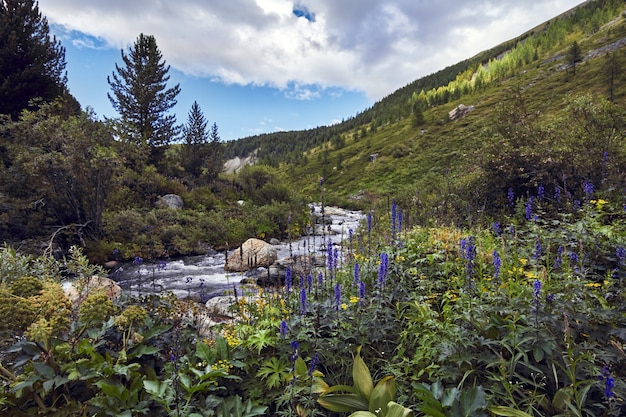 Foto viaje a pé pelos vales das montanhas.