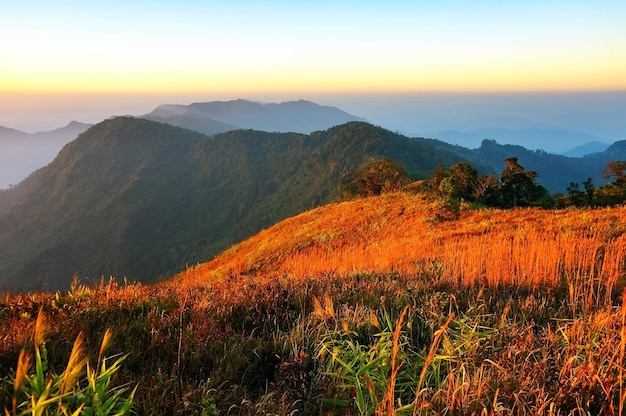 Foto viaje al esplendor natural explorando parques nacionales y picos montañosos en java central y más allá