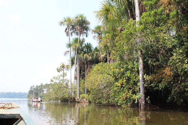 Un viaje en bote por la jungla de Puerto Maldonado. Perú