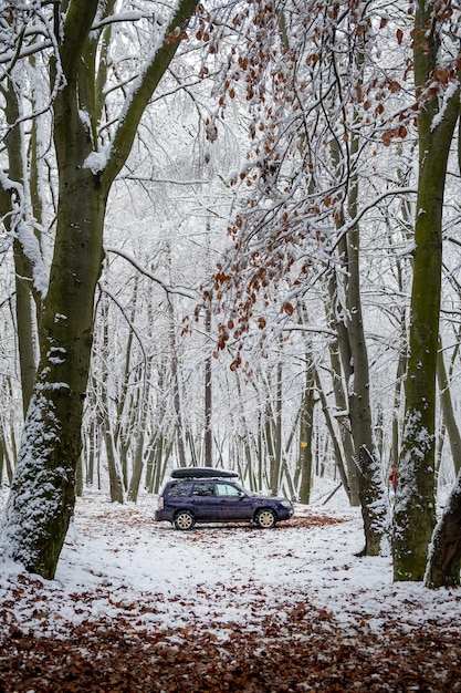 Foto viaje por carretera por un bosque nevado