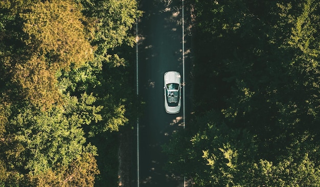 Viaje por carretera de verano en coche descapotable a lo largo de paisajes boscosos