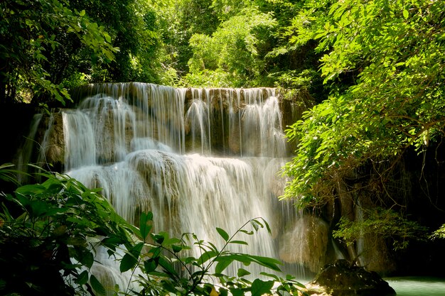 Viaje a las cascadas del bosque tropical en Tailandia