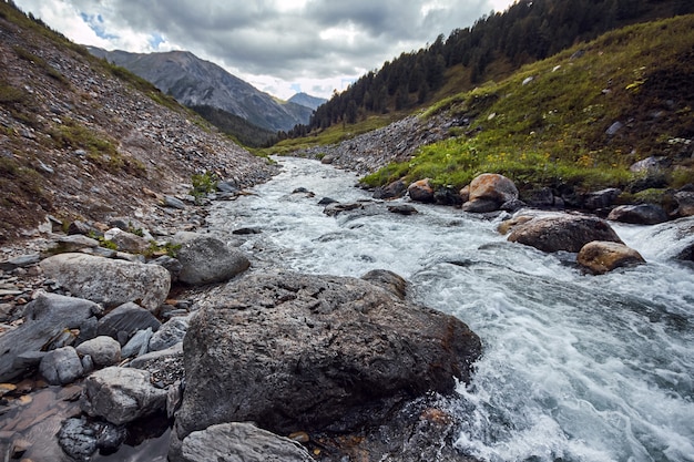 Viaje a pie por los valles montañosos. La belleza de la vida salvaje. Altai, el camino a los lagos Shavlinsky. Caminata