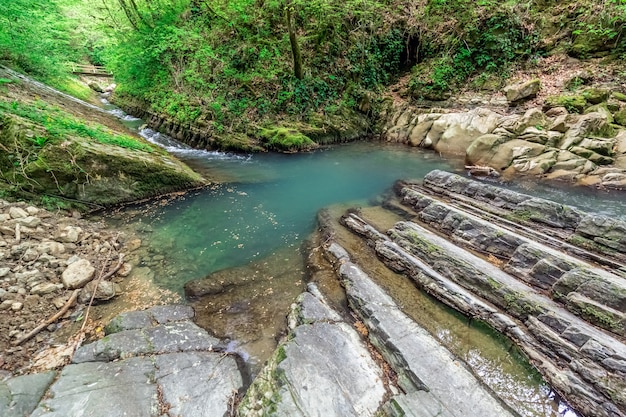 Viaje de primavera de Sochi