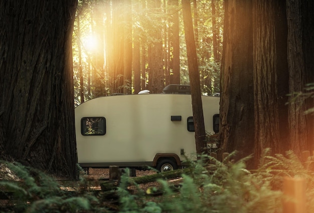 Viaje en remolque acampando en la Redwood