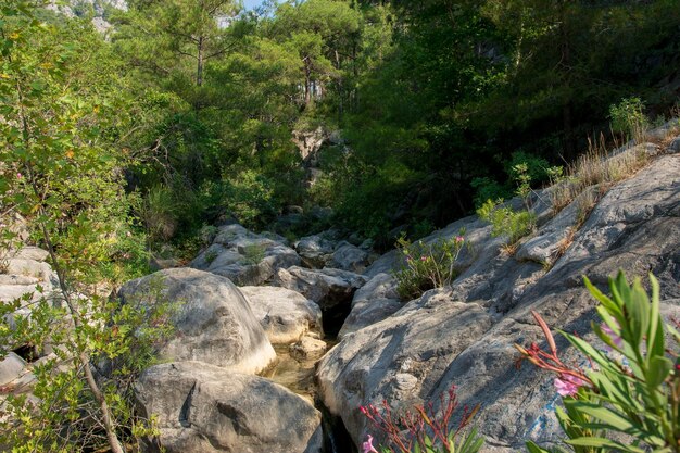 Viaje a través de las montañas a través del desfiladero y cañones Río de montaña que fluye a través del cañón