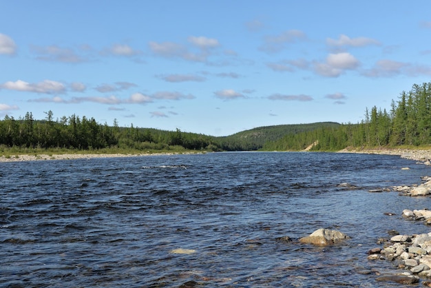 Viaje de verano a lo largo del río taiga de los Urales polares