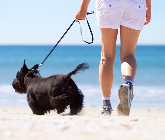 Viaje de verano y playa con mujer y perro para un viaje de vacaciones a pie y cuidado de animales Energía de salud y vacaciones con una mascota femenina y pequeña con correa para entrenamiento de descanso y paz junto al mar