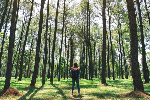 Una viajera asiática con mochila de pie y mirando hacia un hermoso bosque de pinos