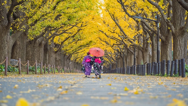 Viajero asiático en kimono vestido tradicional caminando en fila de árbol de ginkgo amarillo en otoño, Tokio, Japón