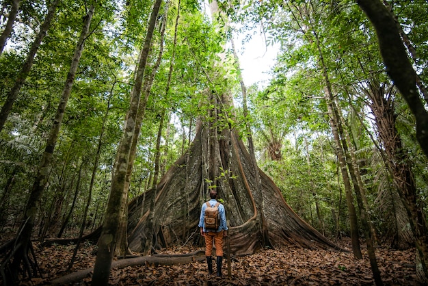 Viajero explorador observando los árboles del Amazonas