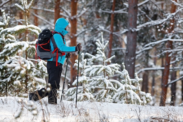 Viajero con mochila y bastones de senderismo. La mujer en el bosque sobre un fondo de árboles cubiertos de nieve.