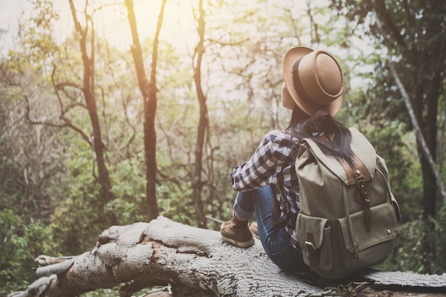 El viajero de la muchacha con una mochila se sienta en registros en el bosque.