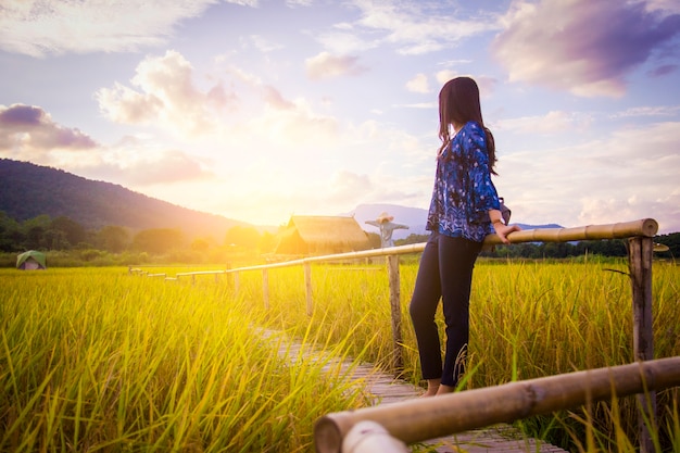 Viajero mujer admirando el paisaje de campo de arroz amarillo