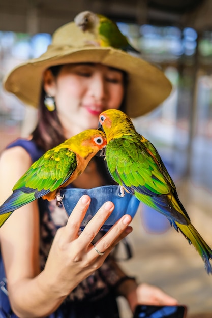 Viajero mujer alimentando muchos loros a mano en la jaula de pájaros