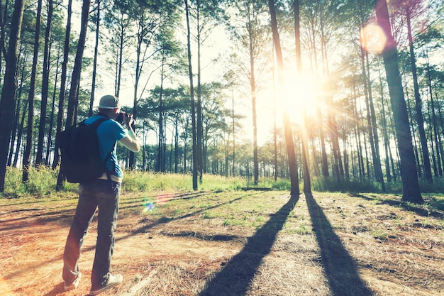 Viajero que toma una foto en bosque con luz del sol por la mañana.