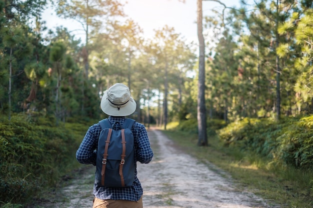 Viajero con sombrero caminando por el bosque