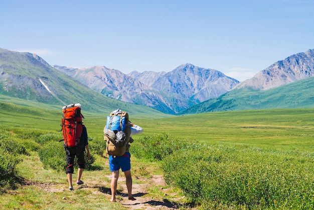 Los viajeros con mochilas grandes van al valle verde a montañas gigantes