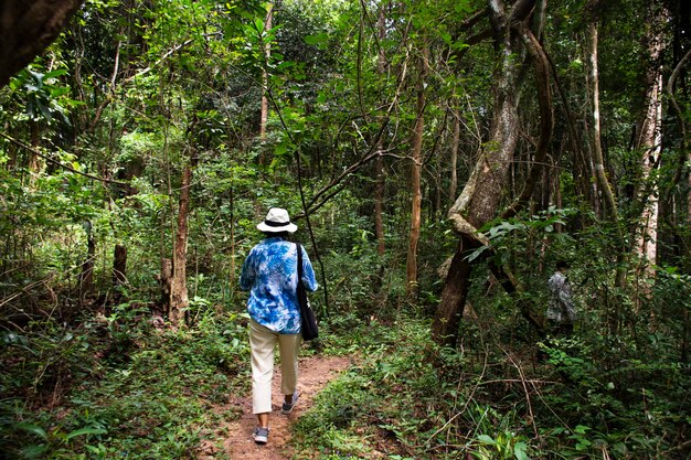 Viajeros tailandeses, mujeres, personas, senderos para caminar, caminatas y caminatas, visita en el bosque, visita a la cascada Tham Buang en Phu Foi Lom en la Reserva Forestal Nacional Pa Phan Don en Udon Thani, Tailandia