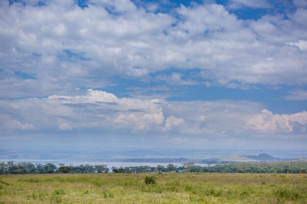 Viajes a Kenia Safaris Estilo de vida Fotografía Blog Retratos de Antony Trivet