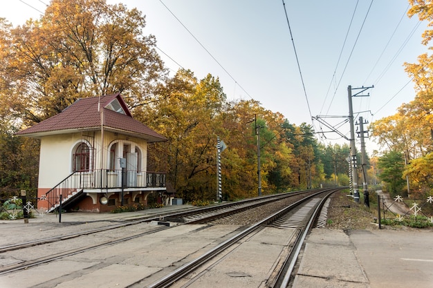 Vías de ferrocarril en el fondo del bosque otoñal