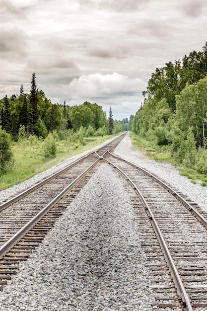 Las vías del ferrocarril en medio de los árboles contra el cielo nublado