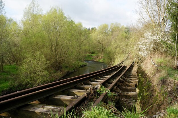 Foto las vías del ferrocarril en medio de los árboles contra el cielo