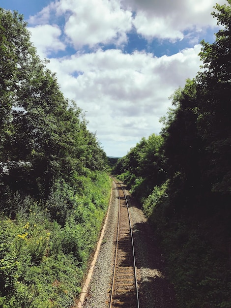 Las vías del ferrocarril en medio de los árboles contra el cielo