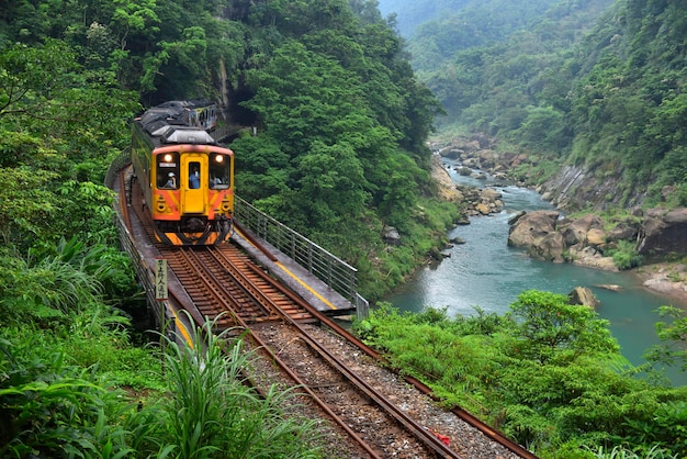Las vías del ferrocarril por el río en medio de los árboles en el bosque