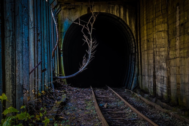 Vías ferroviarias abandonadas que conducen hacia el túnel