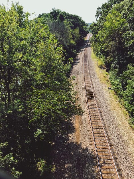 Foto vias ferroviárias em meio a árvores contra o céu