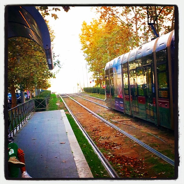 Foto vias ferroviárias na cidade