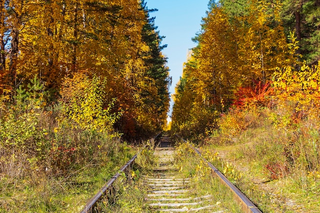 Vías de tren abandonadas en el bosque de otoño