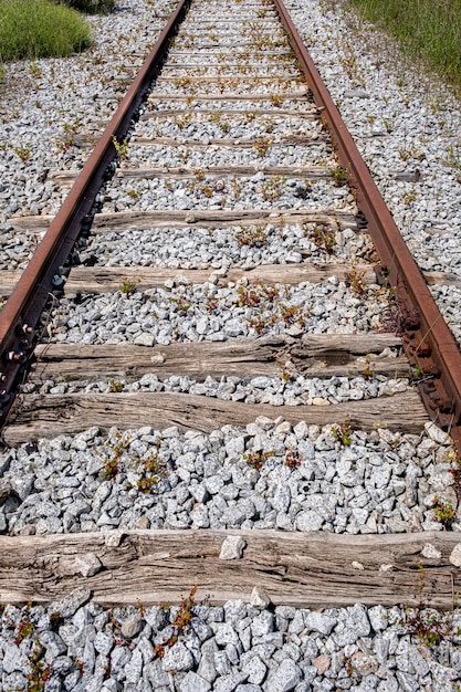 Vías de tren abandonadas con flores y piedras de madera