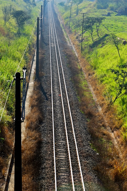 Vías de tren con brillante con pasto verde en los bancos