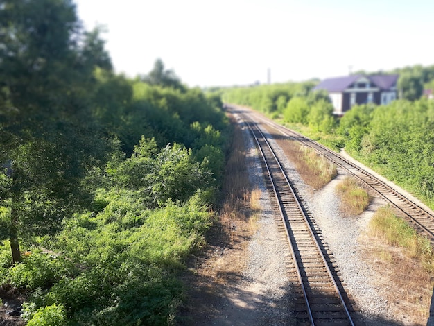 Vías de tren vistas desde arriba en verano por la tarde