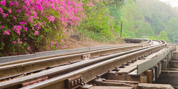 Vías de tren