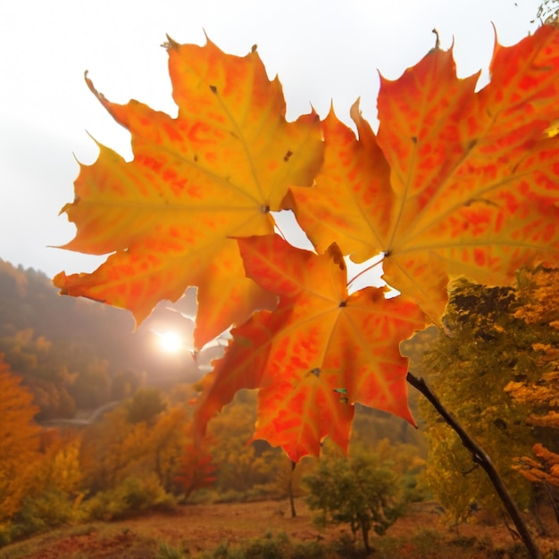 Las vibraciones del otoño